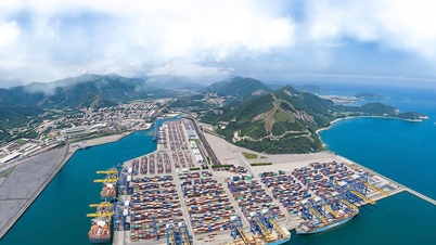A Da Nang Szabadkereskedelmi Övezet alakítása