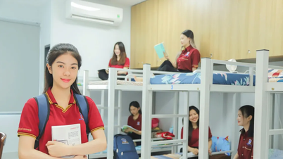 Has the entrance exam cutoff score for Nguyen Tat Thanh University increased or decreased over the past three years?