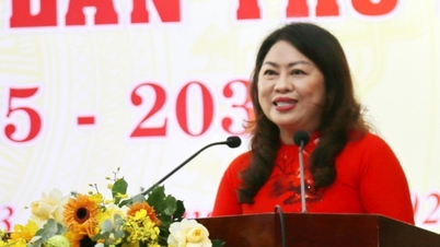 Memperkenalkan Sekretaris Tam Ky untuk menjabat sebagai Wakil Ketua Tetap Front Persatuan Nasional Vietnam Kota Da Nang.