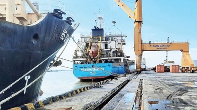 Cần Thơ tăng tốc trở thành trung tâm logistics quốc tế