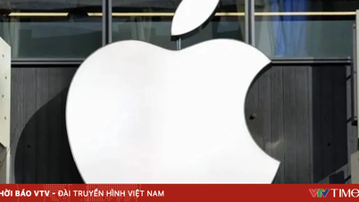 Ha proposto di allentare le normative sui pagamenti sull'App Store e su Google Play.