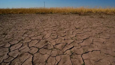 Nova Zelândia confirma forte El Niño: por que a Ásia precisa estar especialmente vigilante?