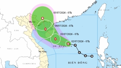 La depressione tropicale sta per intensificarsi fino a diventare il tifone numero 1, dirigendosi verso la parte settentrionale del Golfo del Tonchino.