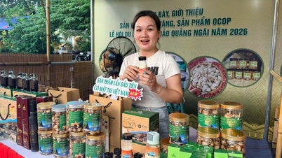Quang Ngai usiluje o to, aby dalších 60 produktů OCOP dosáhlo 3 hvězdiček nebo vyššího hodnocení.