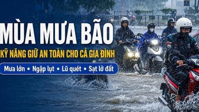Regen- en stormseizoen: vaardigheden om het hele gezin veilig te houden.