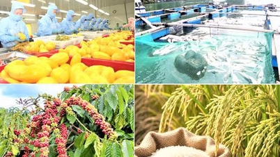 Eksporten af ​​landbrugs-, skovbrugs- og akvatiske produkter steg med mere end 10 % i forhold til samme periode sidste år.