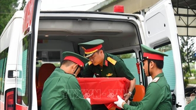 500日間キャンペーン：戦死した兵士の遺体から採取した670個の生物学的サンプルをDNA検査のために提供。