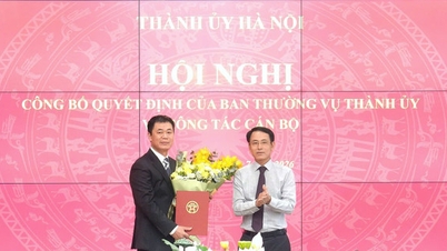 Đồng chí Nguyễn Văn Toàn được bổ nhiệm giữ chức Phó Trưởng ban Nội chính Thành ủy Hà Nội