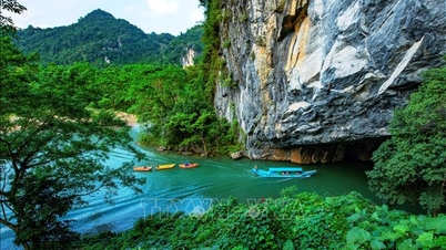 Ministerstwo Rolnictwa i Środowiska proponuje plan zarządzania parkami narodowymi między prowincjami.