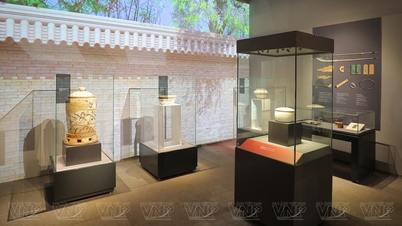 Las reliquias del rey y la reina narran la historia de la vida en la capital, Thang Long.