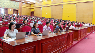 Training on professional skills in document management and archiving.