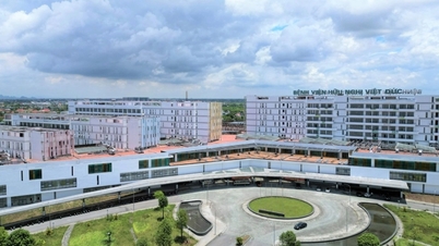 9 Temmuz'da Viet Duc Hastanesi'nin Ninh Binh şubesi hasta kabulüne başladı.