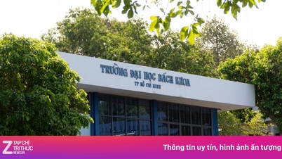 대학과 도시: 반세기 동안의 공동 발전