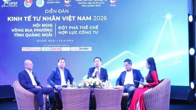 Quang Ngai: Fjernelse af flaskehalse for at lette omdannelsen af ​​husholdningsvirksomheder til virksomheder.