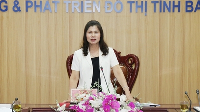 Bac Ninh: Comitetul permanent al Consiliului Popular Provincial analizează implementarea planului de investiții publice.
