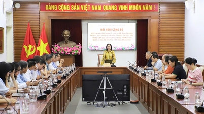 Recognition of judicial expert organizations on a case-by-case basis in the field of culture, sports and tourism.