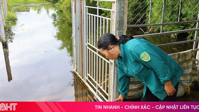 "Sống chung với lũ" giữa mùa hè