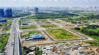 تصویب تصمیم برای تنظیم برنامه ریزی ملی کاربری زمین برای دوره 2021-2030