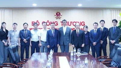El viceministro Nguyen Hoang Long colabora con empresas japonesas en materia de gas natural licuado (GNL).