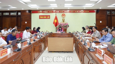 វិស័យតុលាការបន្តកែលម្អស្ថាប័នរបស់ខ្លួន និងពន្លឿនការផ្លាស់ប្តូរឌីជីថល។