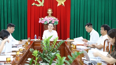 ตรวจสอบความคืบหน้าของโครงการด้านวัฒนธรรมและประวัติศาสตร์ในจังหวัดด่งนาย