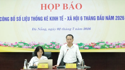 កំណើនផលិតផលក្នុងស្រុកសរុប (GDP) របស់ទីក្រុងដាណាំងសម្រេចបាន ៩,៥២% ដែលនាំមុខគេនៅតំបន់ភាគខាងត្បូងកណ្តាល។