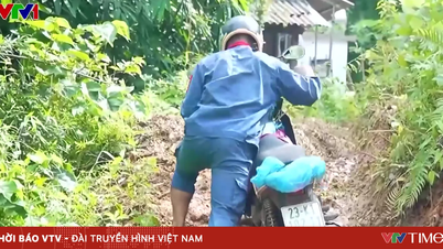 จำเป็นต้องดำเนินการอย่างเร่งด่วนเพื่อซ่อมแซมดินถล่มและอำนวยความสะดวกด้านการจราจรในเมืองตวนกวาง