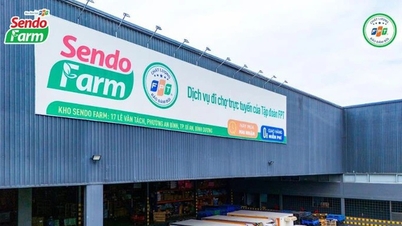 Sendo Farm faaliyetlerini durduruyor, Sendo ayrıca çevrimiçi perakende pazarından da çekiliyor.