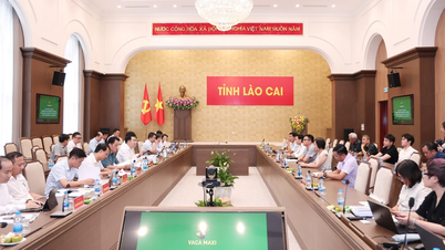 Voorzitter van het Provinciaal Volkscomité Nguyen Tuan Anh werkt bij Bao Lai Investment Joint Stock Company.