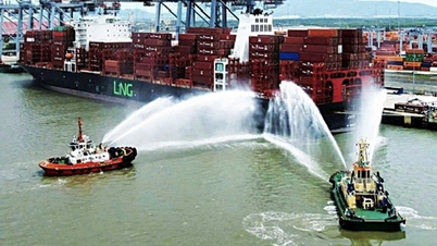 La ville d'Hô-Chi-Minh-Ville cède plus de 102 hectares de terres et de mer au consortium Geleximco pour la construction du « super » port de Cai Mep Ha.