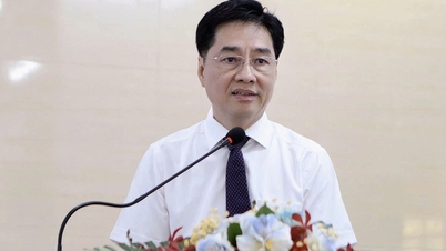 Profesor, Doktor Tran Diep Tuan telah diangkat sebagai Rektor Universitas Kedokteran dan Farmasi Kota Ho Chi Minh.