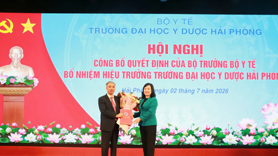 Doçent Doktor Nguyen Van Khai, Hai Phong Tıp ve Eczacılık Üniversitesi Rektörlüğü görevini yürütmektedir.
