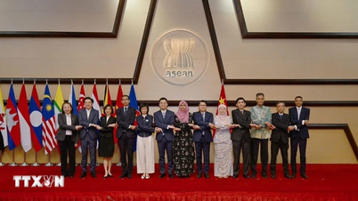 Fomentar los intercambios y la cooperación entre China y la ASEAN en el ámbito del patrimonio cultural.