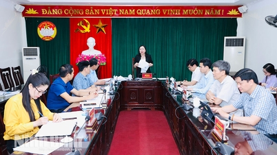 Le Comité permanent du Front de la patrie vietnamienne de la province a rendu son avis sur un certain nombre de questions relevant de sa compétence.