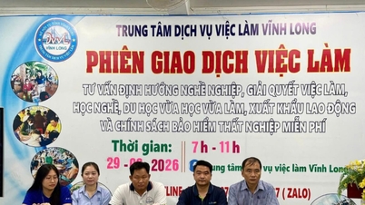 Vinh Long: 노동 공급과 수요를 연결하는 혁신.