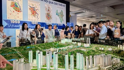 Hanoi's 100-Year Planning Vision: Aspirations alongside the Goal of Sustainable Economic Growth