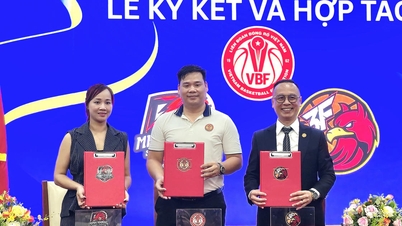 Nationale Jeugd Basketbal Club Cup 2026 – NYCC: Waar jonge basketbalfans hun passie kunnen beleven.