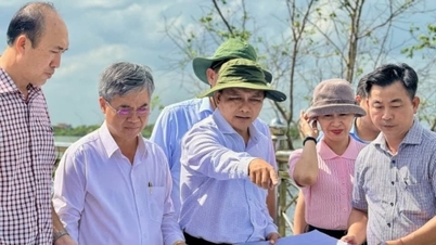 จังหวัดวินห์ลองกำลังเร่งแก้ไขปัญหาการทรุดตัวของคันกั้นน้ำแม่น้ำโคเชียน