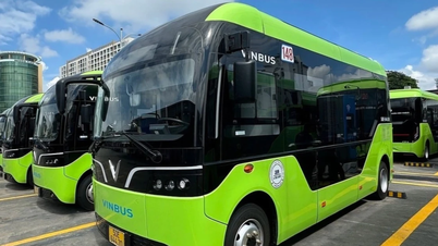 Popraw efektywność przeznaczając dodatkowe 665 miliardów VND na bezpłatne przejazdy autobusami.