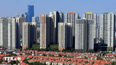 Der Immobilienmarkt wird nicht länger von Spekulationen auf der Grundlage von Gerüchten bestimmt werden.