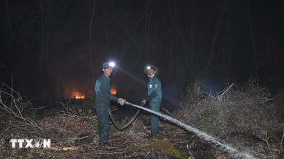 A província de Nghe An emite diretiva urgente sobre prevenção e controle de incêndios florestais.