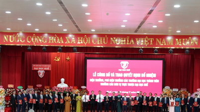 Hue University strengthens its leadership team, creating momentum for the development of the National University.