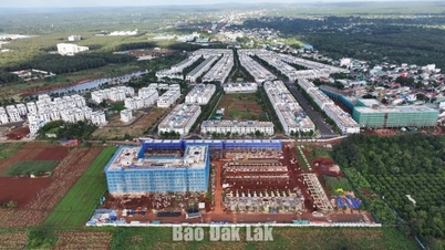 Chủ tịch UBND tỉnh được ủy quyền thực hiện một số nhiệm vụ quản lý nhà nước về đất đai