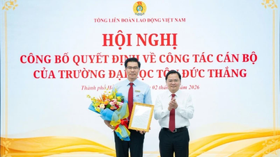 Ton Duc Thang Üniversitesi Rektörünün 2026-2031 dönemi için yeniden atanması