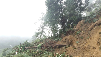 Lao Cai: Proactive response to heavy rain, timely warning and remediation of landslides, ensuring traffic safety.