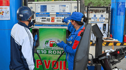 Het hele land verbruikte in juni 2026 800 miljoen liter E10-benzine.