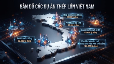 20 milliards de dollars redessinent la carte de l'acier au Vietnam : une concurrence féroce sans précédent.