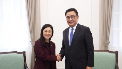 외교부는 주베트남 미국 대사의 신임장 사본을 접수했습니다.