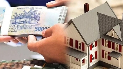 Ouvrez les vannes du crédit et réorientez les capitaux vers les moteurs de croissance et de bien-être.