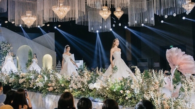 Il Vietnam Grand WeddX 2026 sta suscitando grande interesse nel mercato dei matrimoni in vista del suo grande giorno.